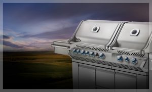 napoleon grill - Poulsen Ace Hardware & General Store - Eaton, Colorado